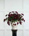 Christrose Schnittblume burgundy