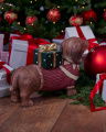 Chestnut hond kerstdecoratie
