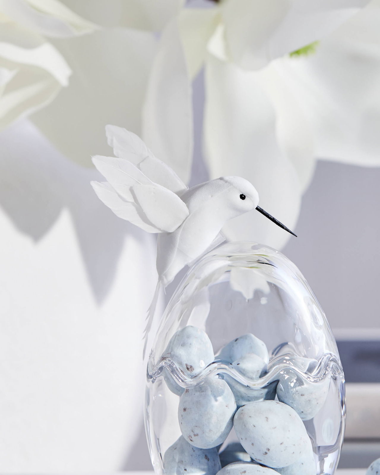 Moa hummingbird, white