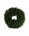 Frost Christmas Wreath Lights 60cm