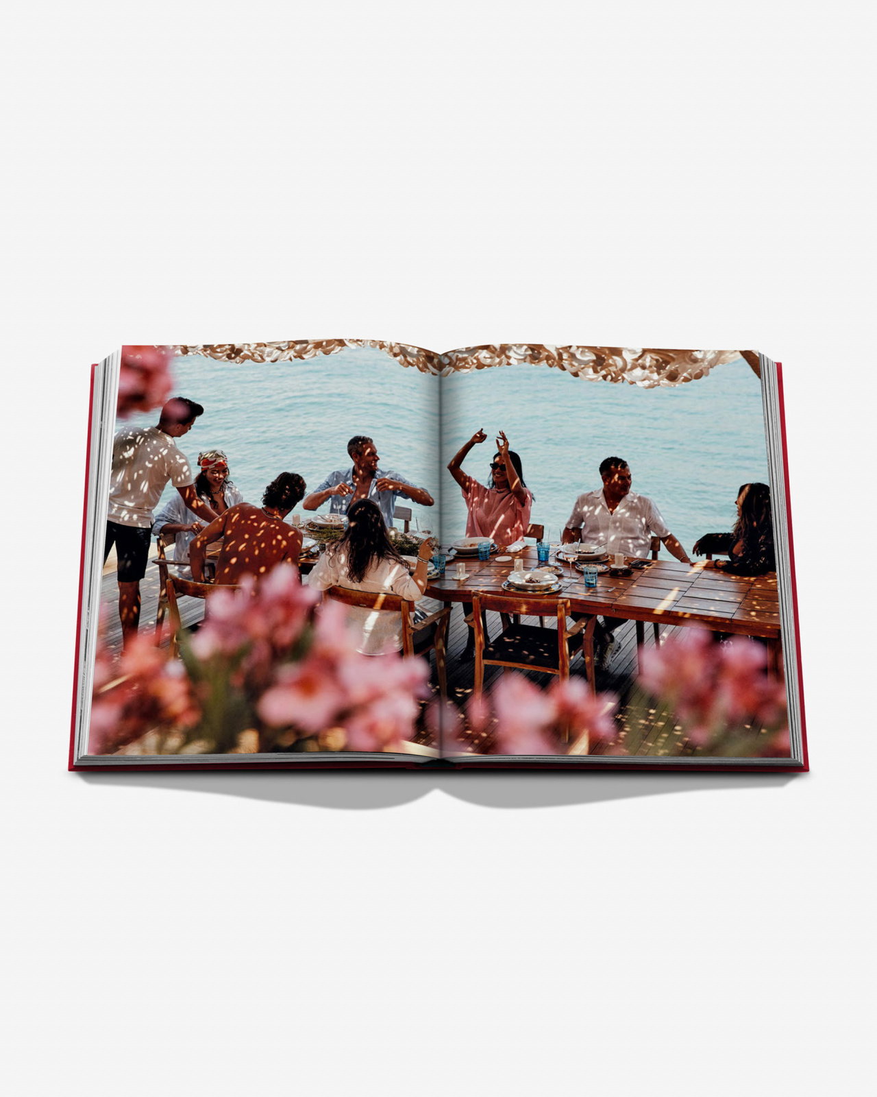 Maçakizi: Everlasting Summer