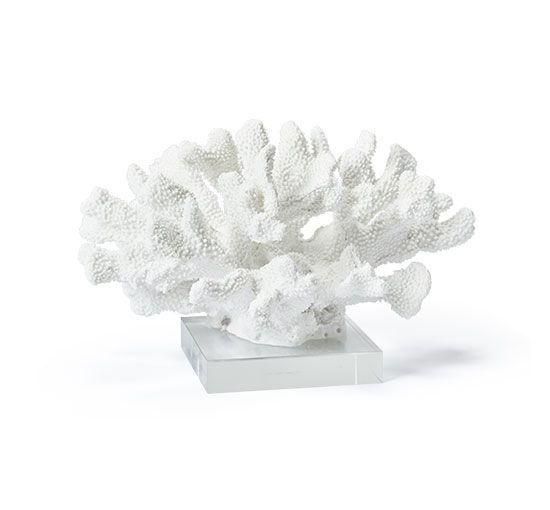 Belize coral sculpture - Visit us for styling advice - BoConcept
