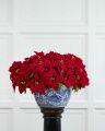 Poinsettia Artificial Plant Red