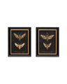 Ramsey butterfly art prints 2-pack