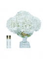 Provence Hydrangeas Gift Set White