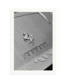 1965 Ferrari 275GTB Print Only / XXL