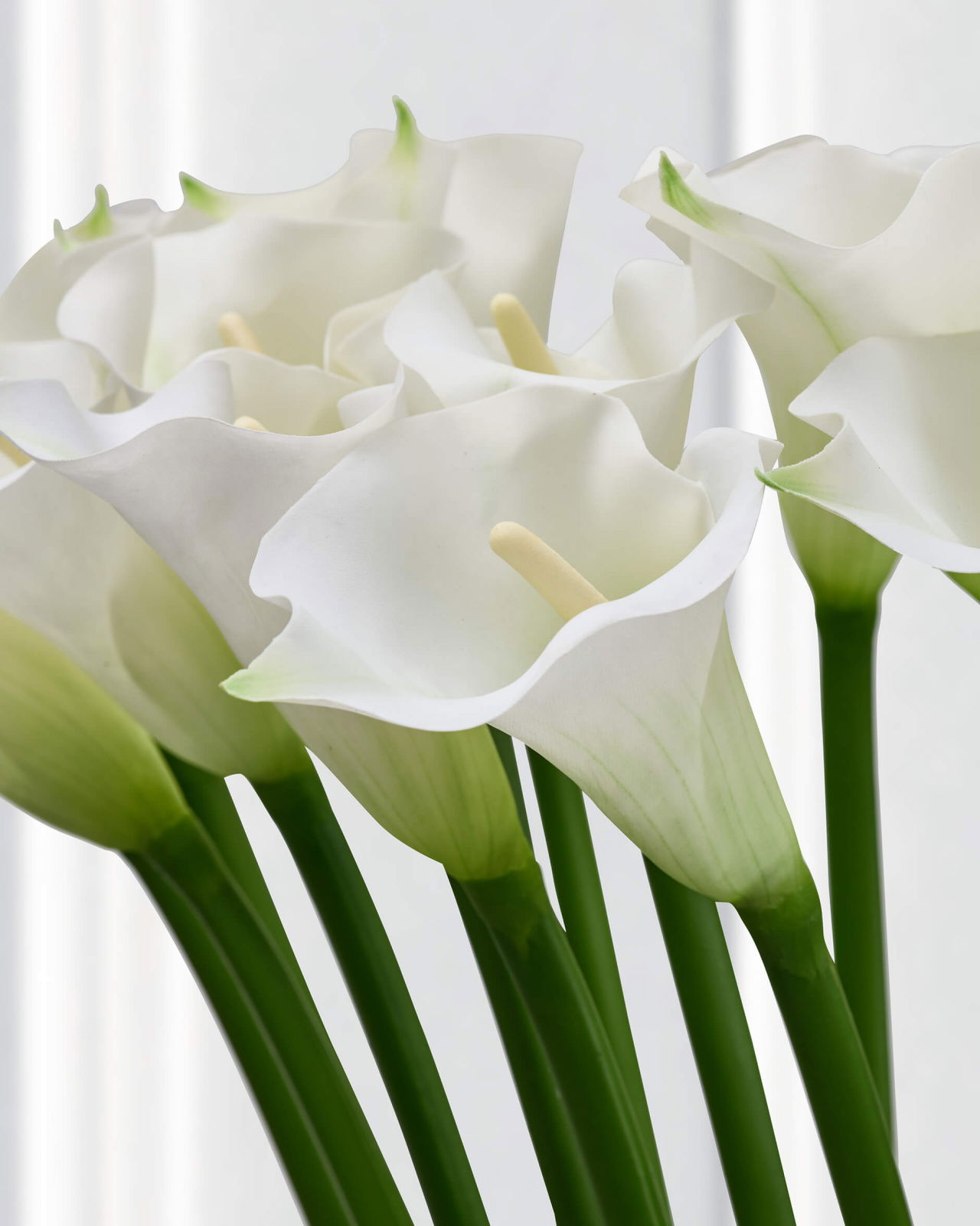 Kalla leikkokukka valkoinen