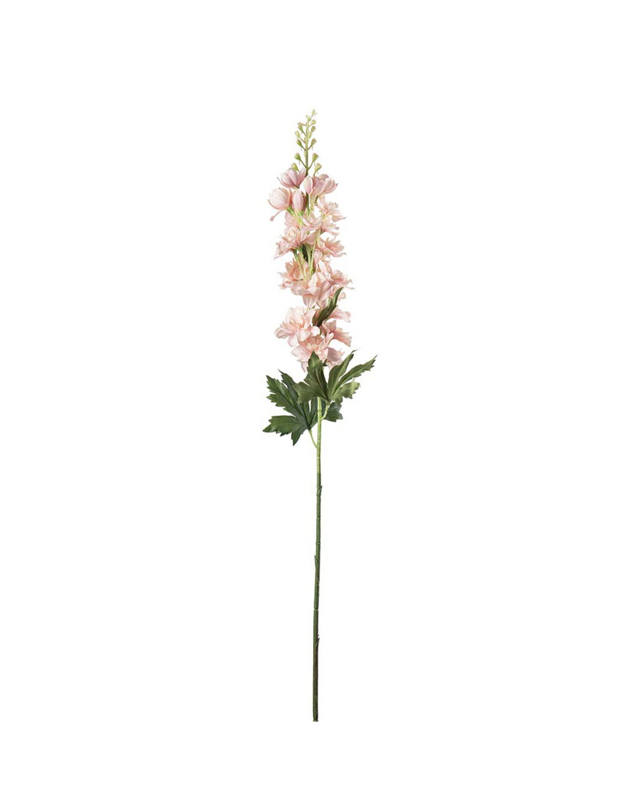 Delphinium snittblomma rosa