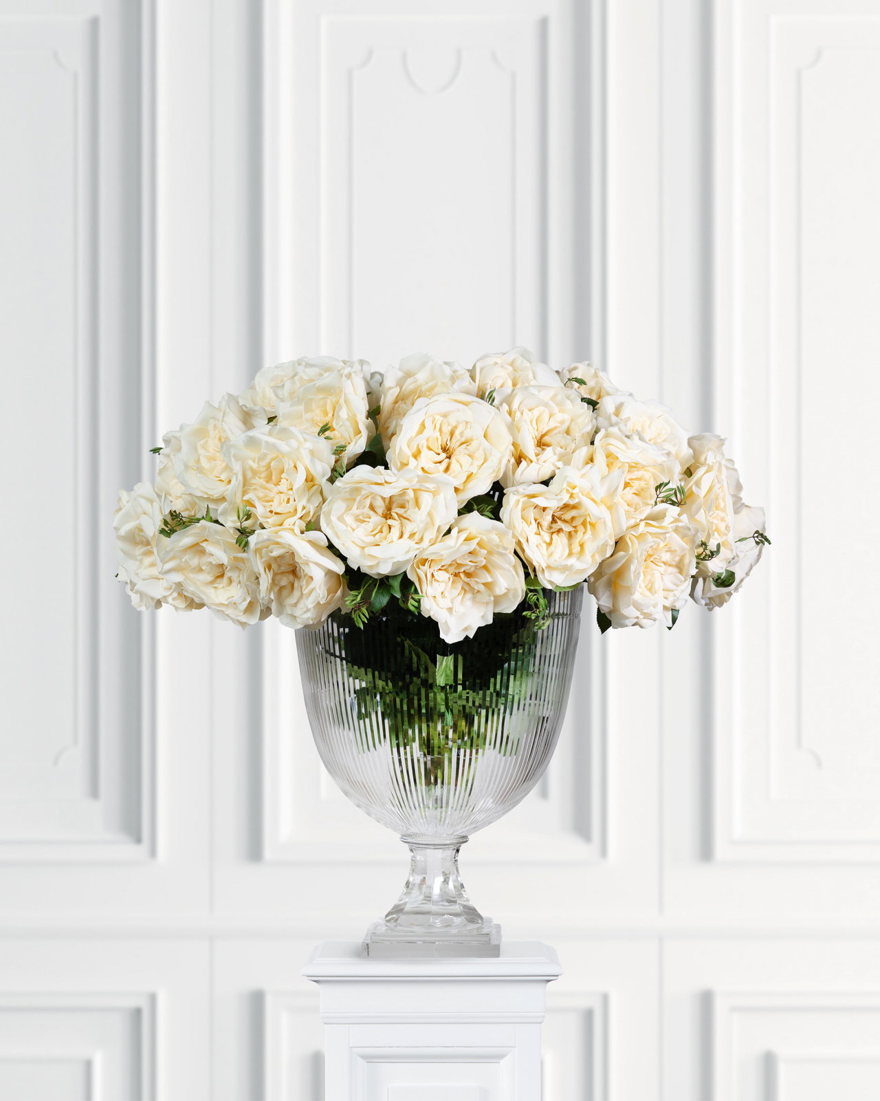 Ros snittblomma cream