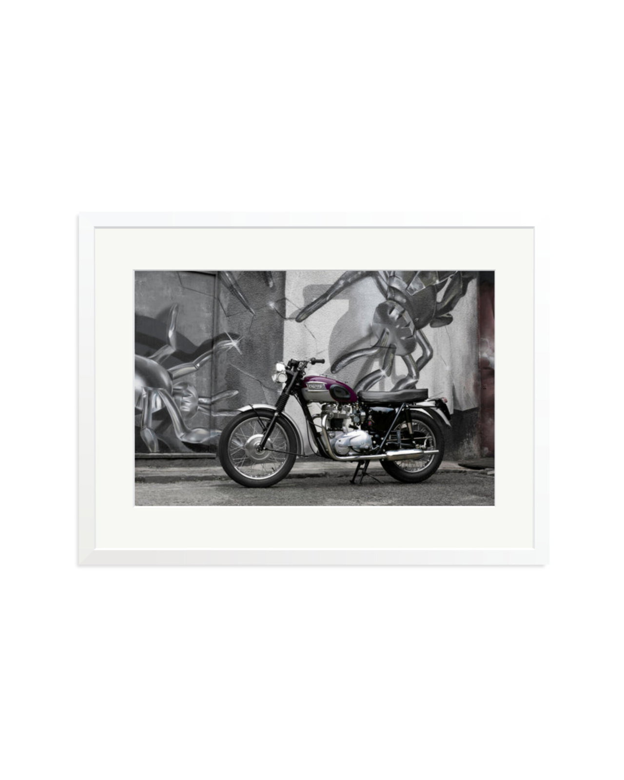1963 Triumph Trophy White / XL