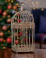 Loretta Birdcage Champagne