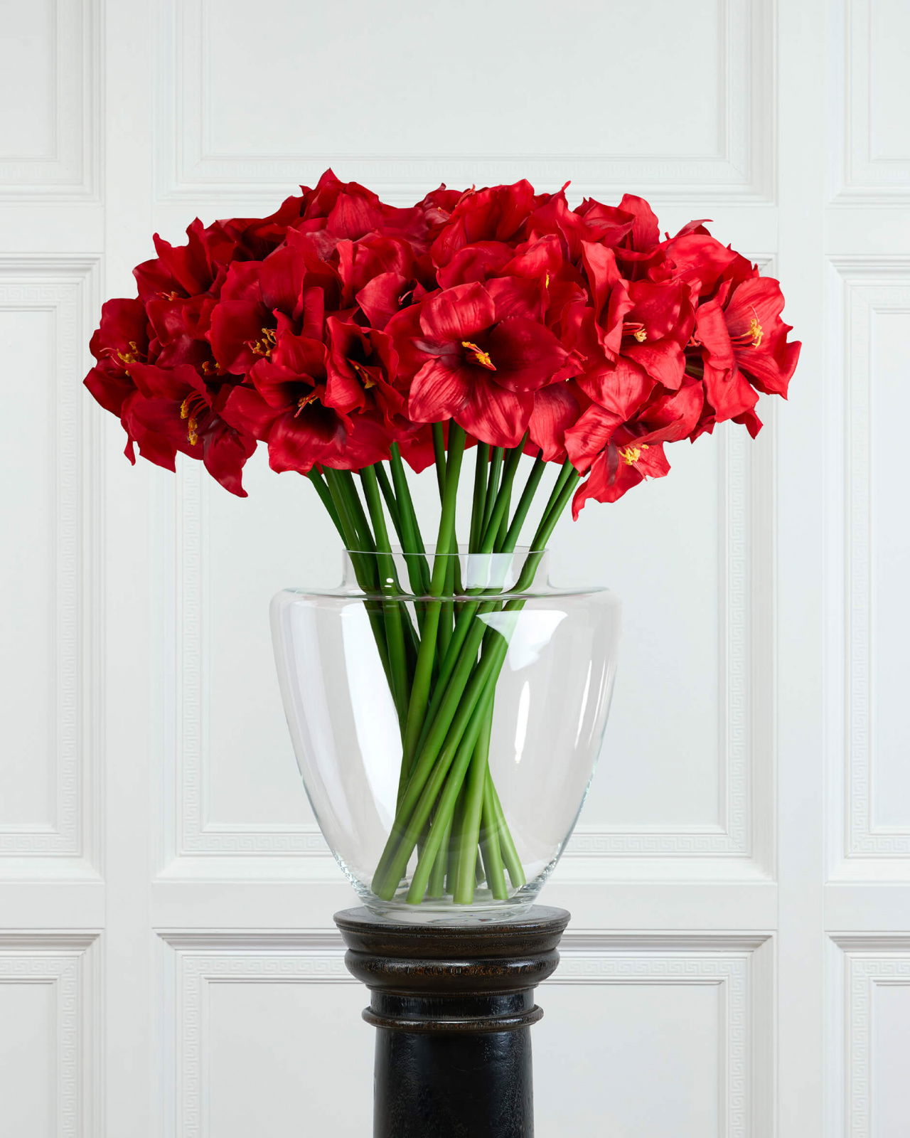 Amaryllis Cut Flower Red