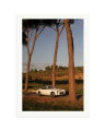 Lancia Flaminia Sport Zagato Print Only / XXL