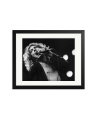 Robert Plant 1977 Black / Medium