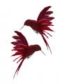 Luna Hummingbird Ornament 2-pack