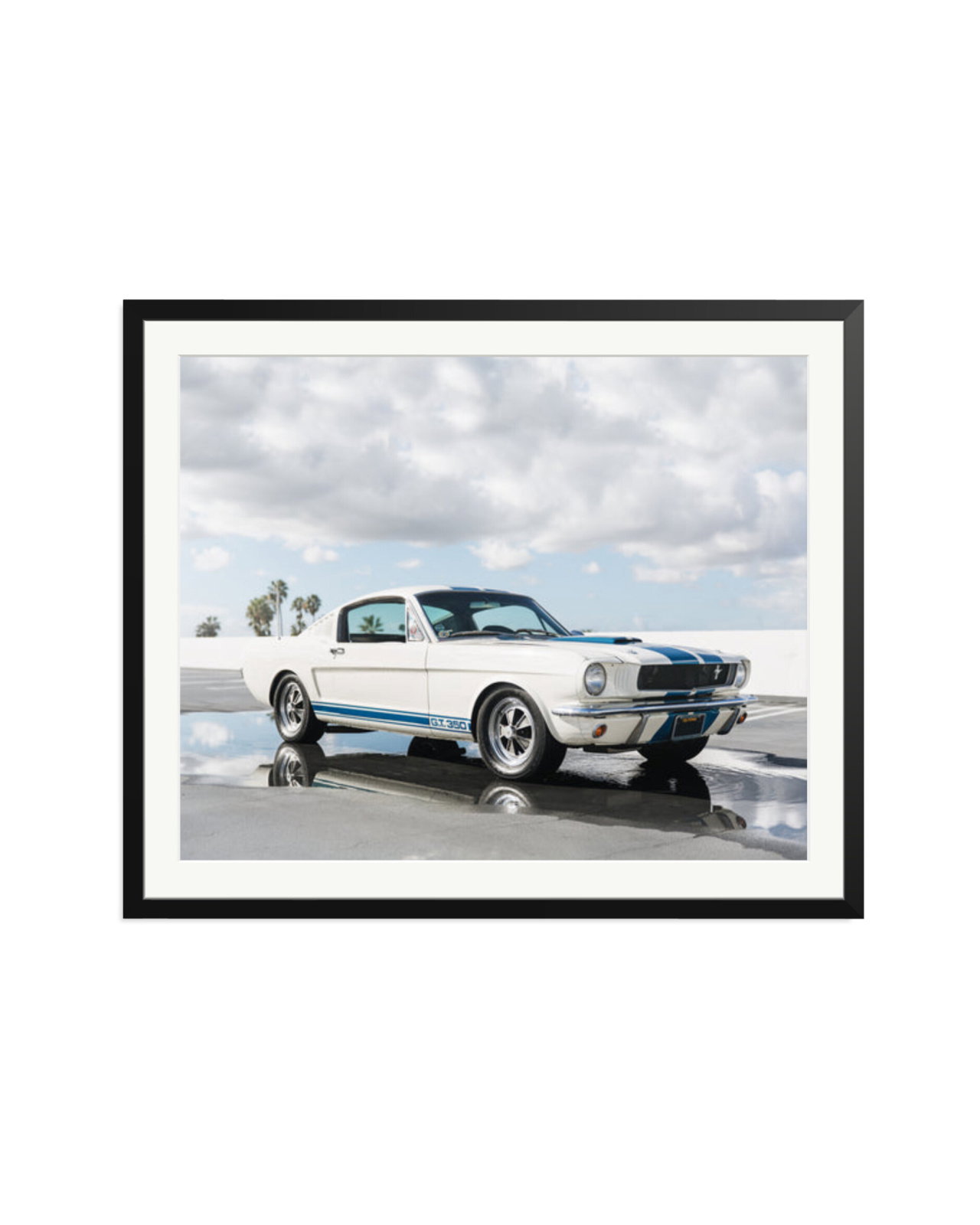 Ford Mustang Shelby GT350 Black / XXL