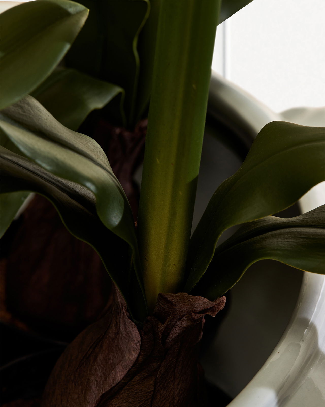 Amaryllis artificial plant white