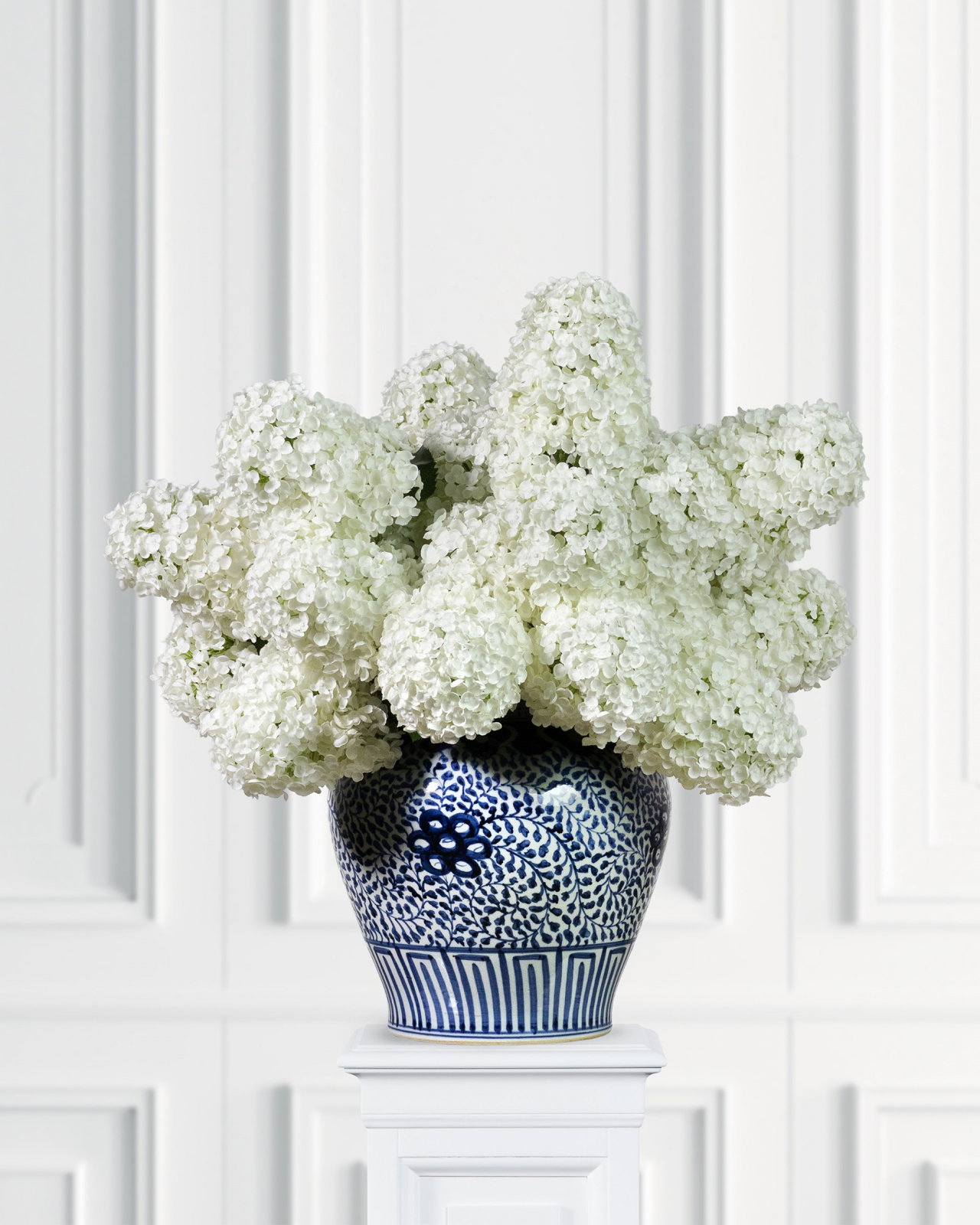 Syrénhortensia snittblomma vit