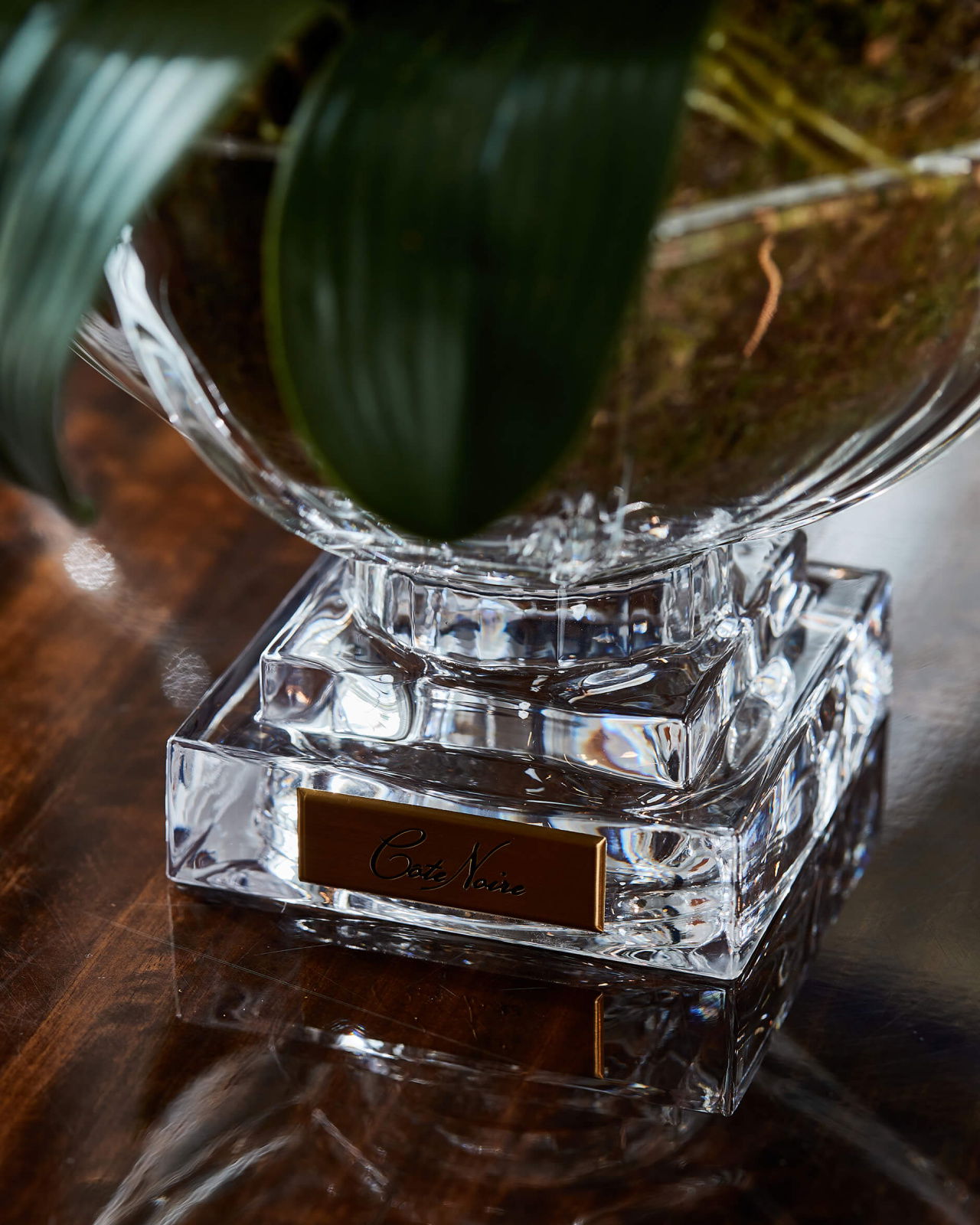 Orchidée Grandeur gåvoset