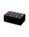 Lucida Box Purple S