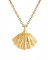 Mira Shell Necklace