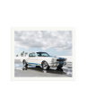 Ford Mustang Shelby GT350 Print Only / XXL