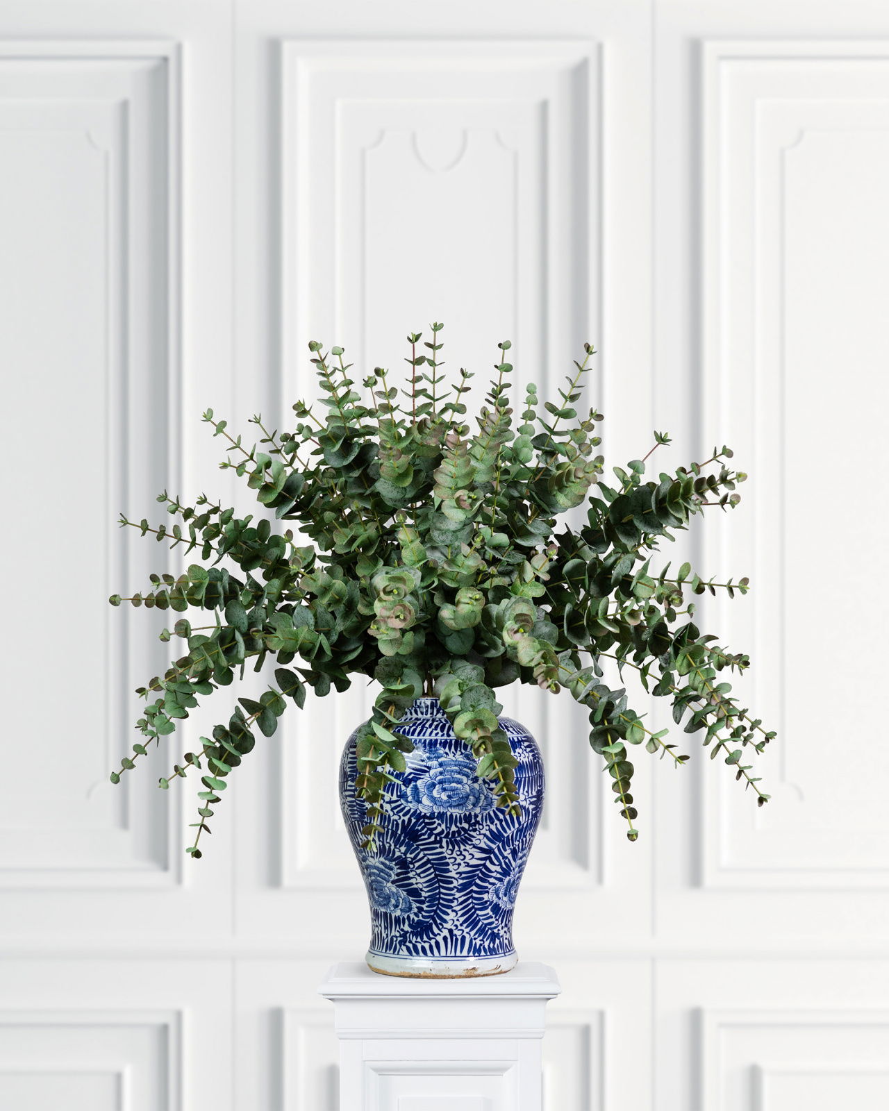 Eucalyptus Cut Flower