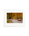 356 Porsche White / Medium