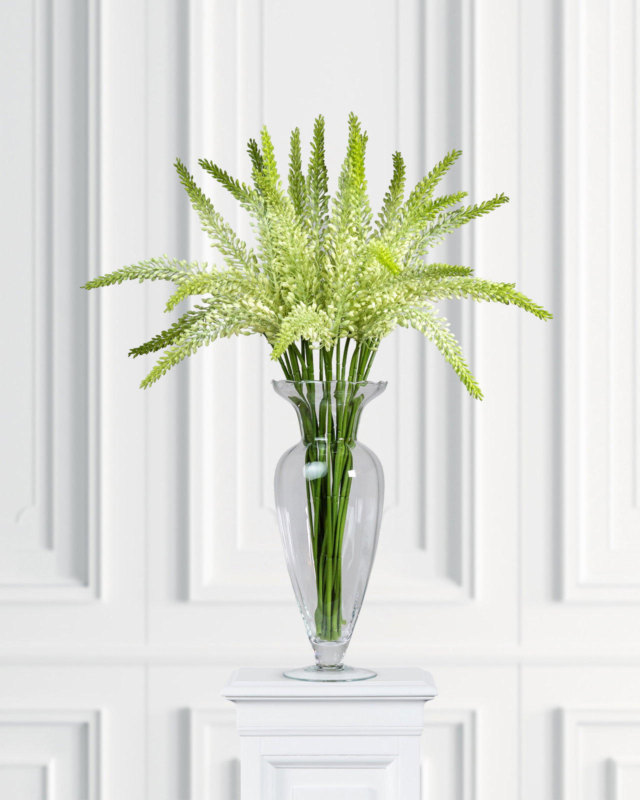 Eremurus snittblomma vit