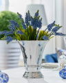 Grape Hyacinth Cut Flower Blue