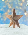 Bessie top star (champagne)