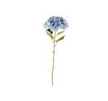 Hydrangea Cut Flower Blue