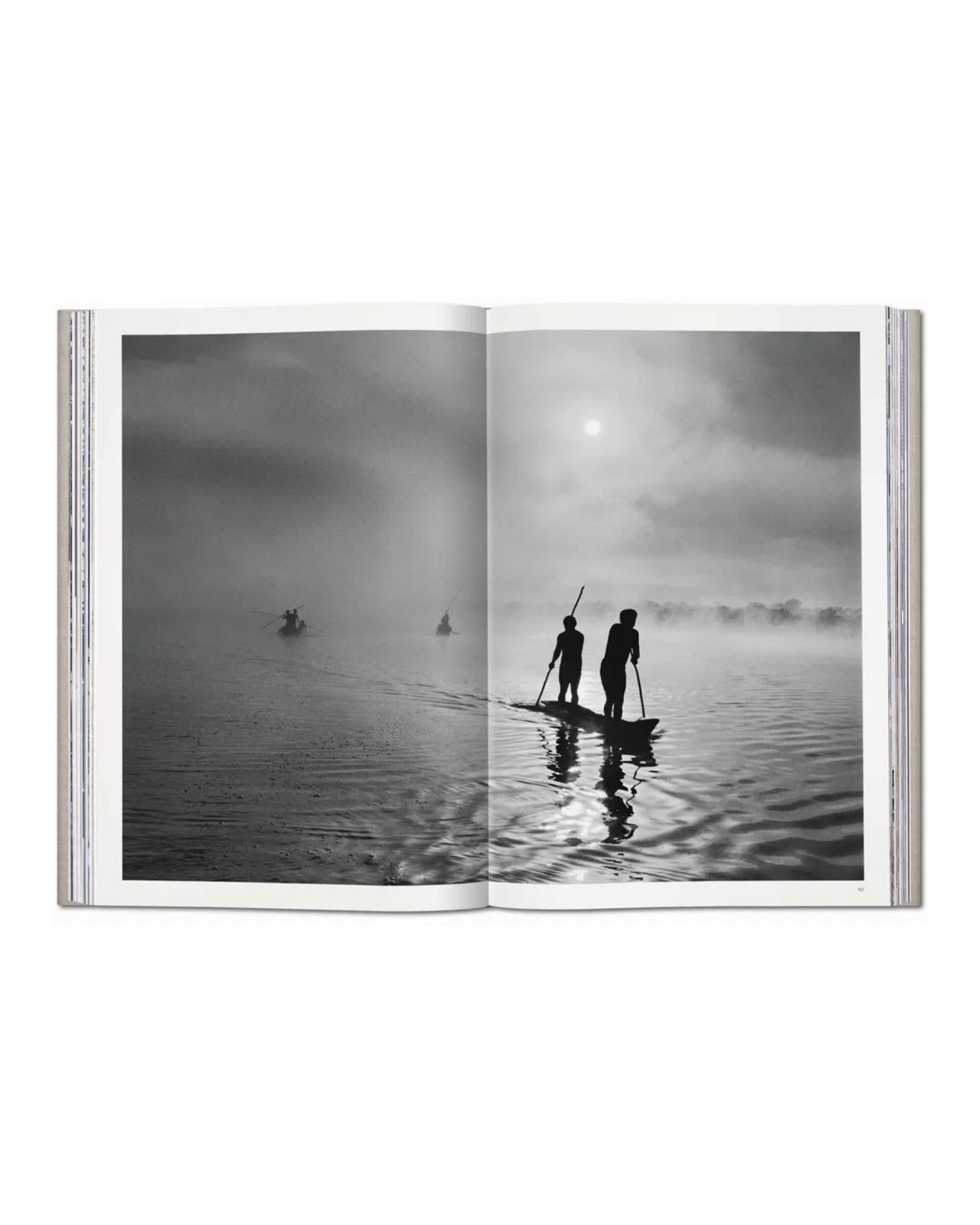 Sebastião Salgado Genesis SUMO