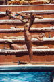 Sunbathing On Capri
