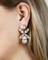 Dione crystal earrings