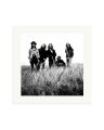 Pearl Jam Print Only / Large