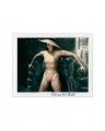 Helmut Newton. Polaroids