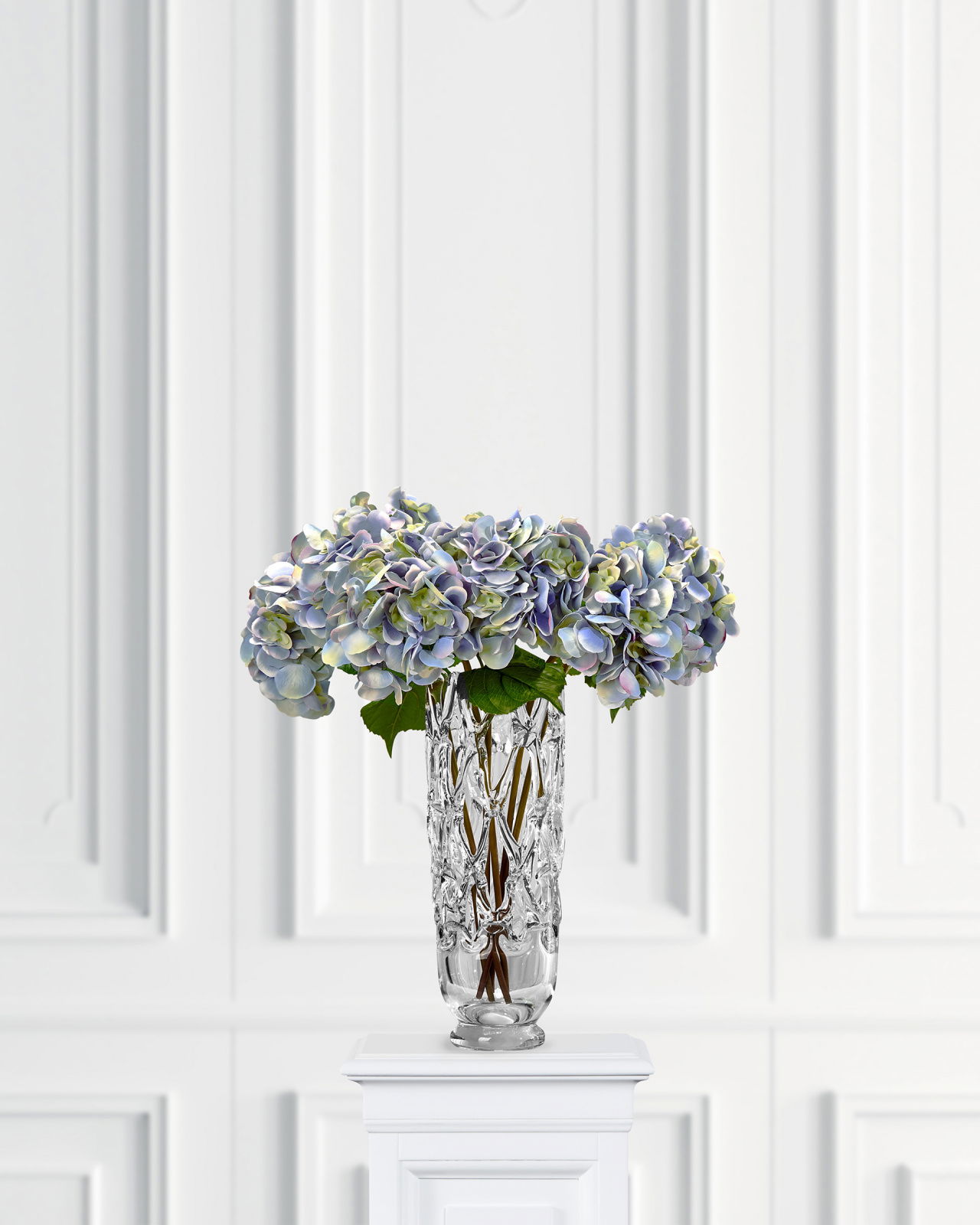 Hortensia-leikkokukka, sininen