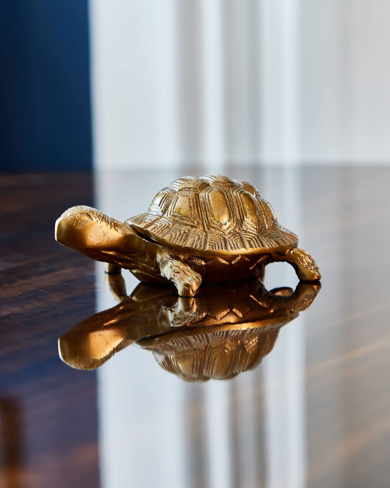 Turtle box brass