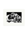Bruce Springsteen Performs Print Only / Small
