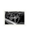 Concours of Elegance Print Only / XXL