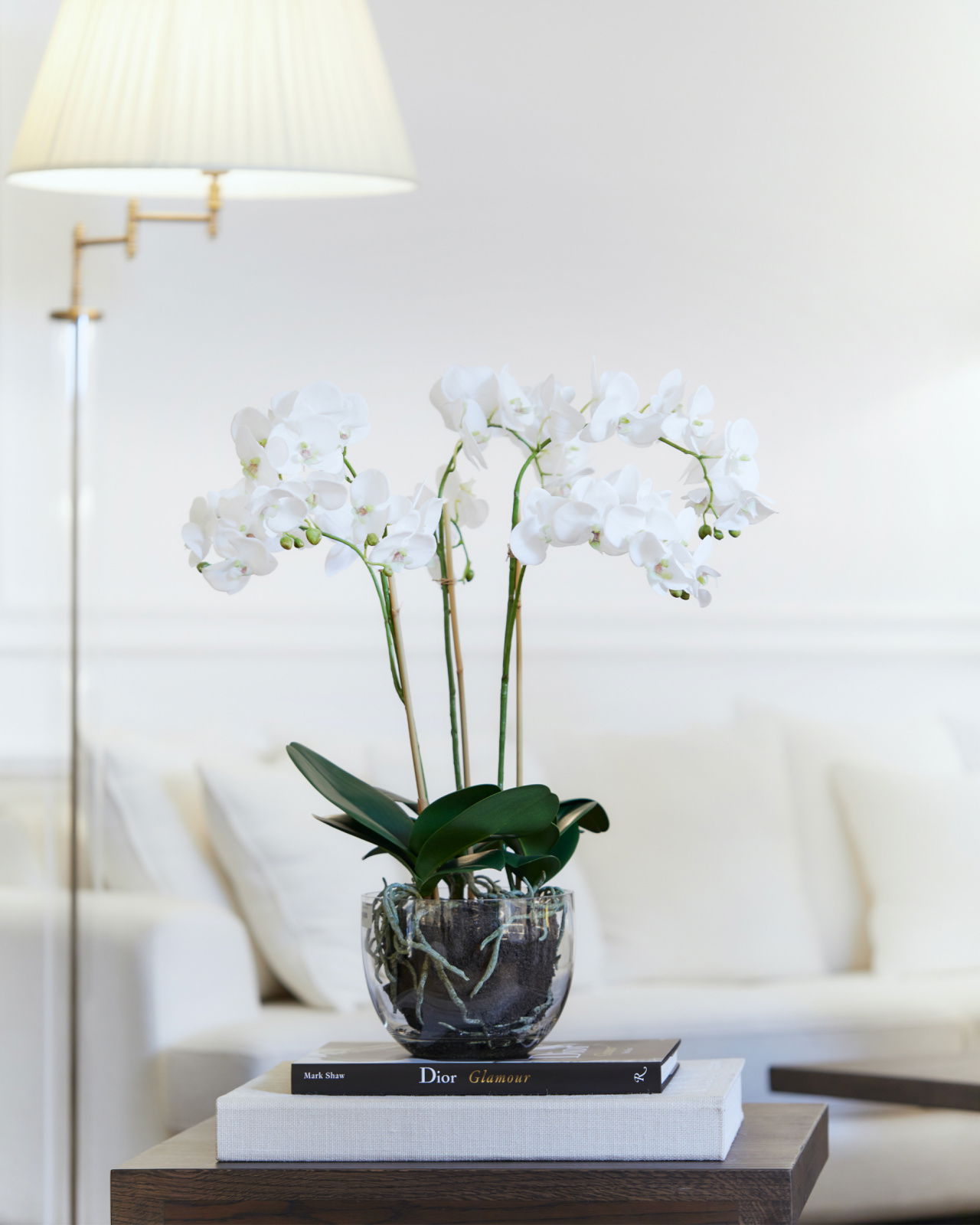 Orchideeënpotplant, wit