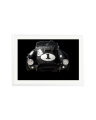 Shelby Cobra White / XXL