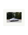 1964 Alfa Romeo Giulia SS Print Only / Small