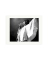 Freddie Mercury 1975 Print Only / Medium