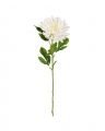 Chrysanthemum Cut Flower White