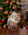 Minerva Owl Christmas Decoration Brown/White