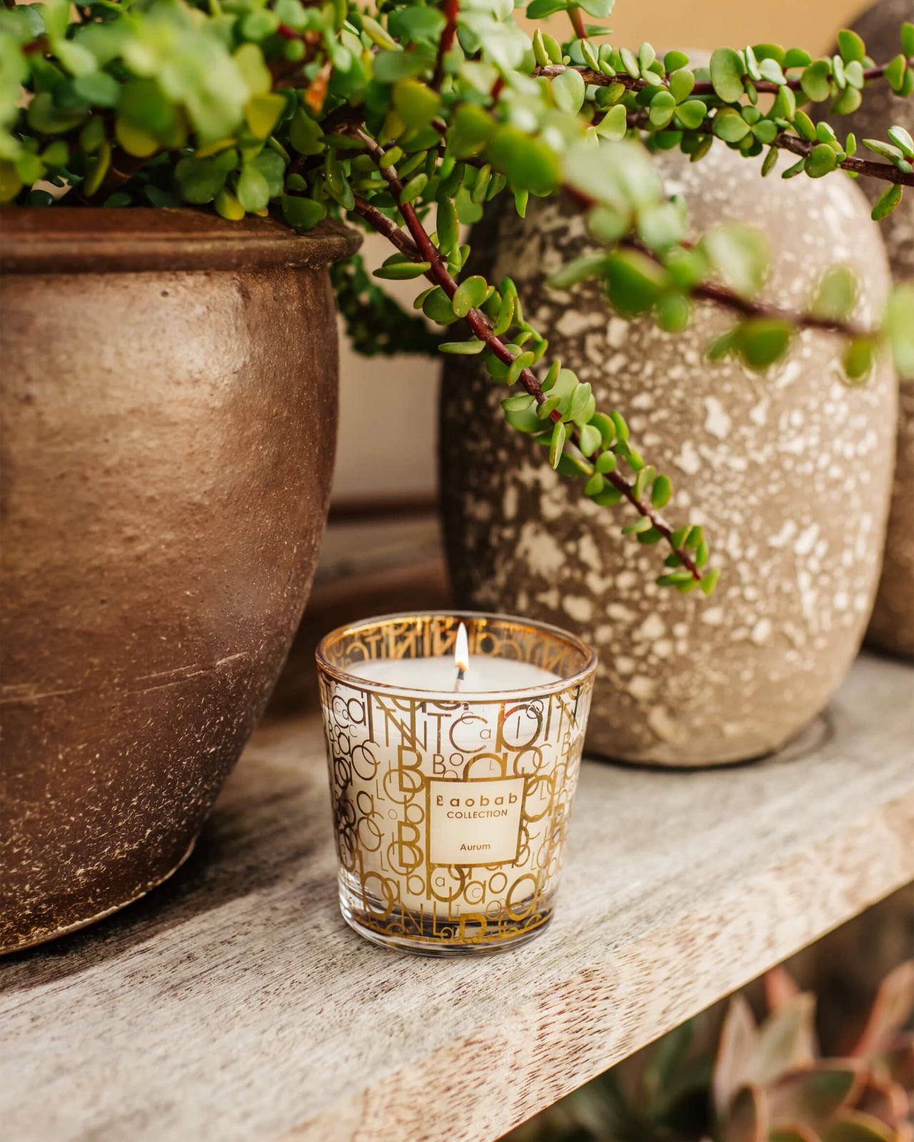 My First Baobab Aurum Scented Candle