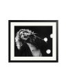 Robert Plant 1977 Black / Large