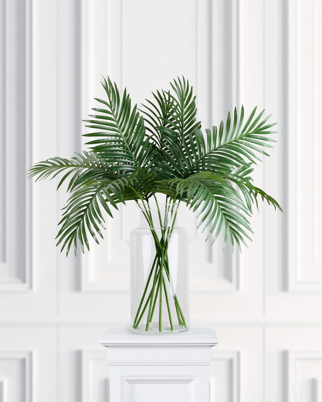 Palm leaf potted plant green